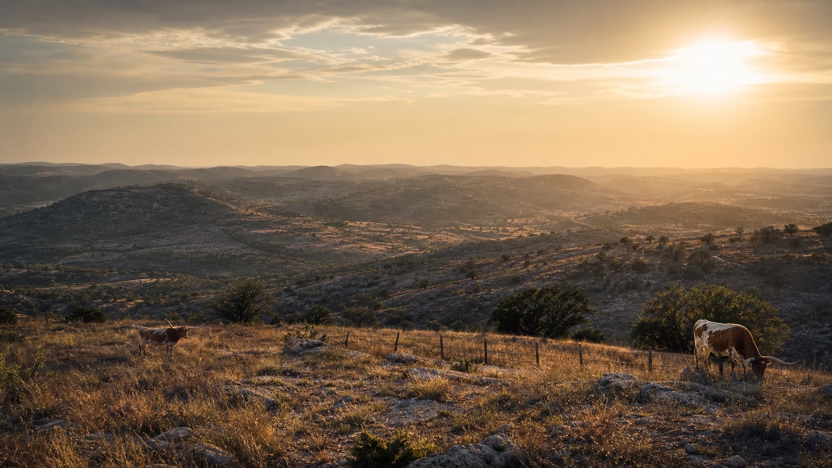 Texas Hill Country landscape